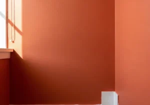 Interior Wall Paint